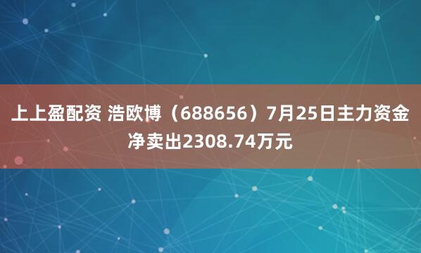 上上盈配资 浩欧博（688656）7月25日主力资金净卖出2308.74万元